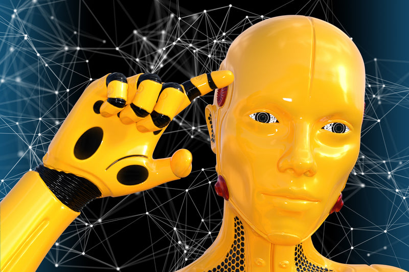 3D & Media Assets